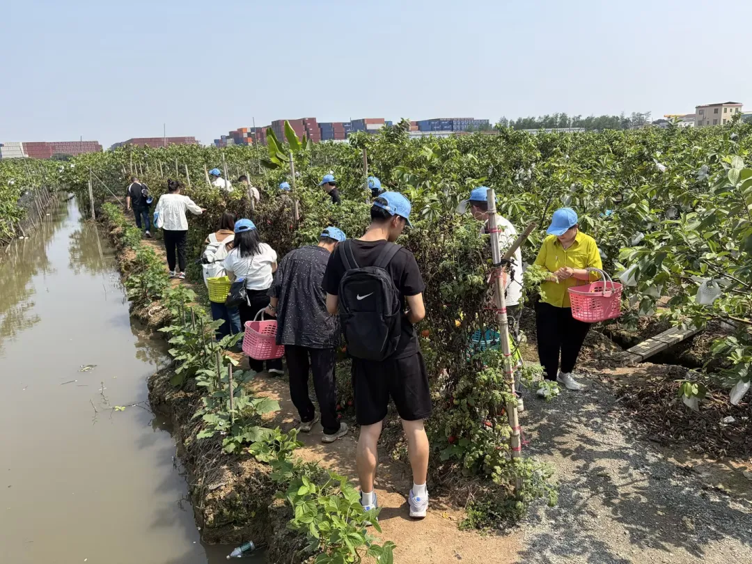 /upload/202604301930978854.jpg